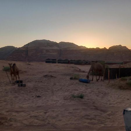 Bedouin Host Camp& With Tour Hotel Wadi Rum Exterior foto