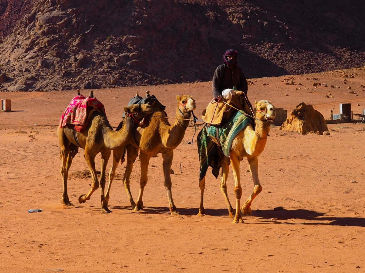 Bedouin Host Camp& With Tour Hotel Wadi Rum Exterior foto